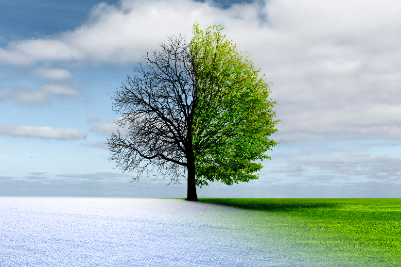 5 tips on how to ensure positive mental health for children and young people during the summer break 11 Blue Mental Health Images for BMHS article